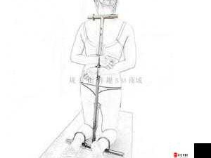 男男罚跪夹玉势 sm 调教：探索未知的性癖好