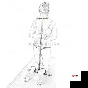 男男罚跪夹玉势 sm 调教:探索未知的性癖好